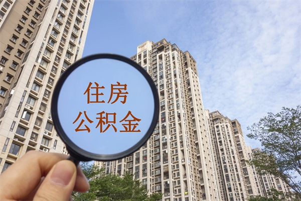 遵化市离职多久可以取住房公积金（离职多久后能取公积金）